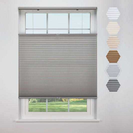 Top Down Bottom Up Light Filtering - Platinum