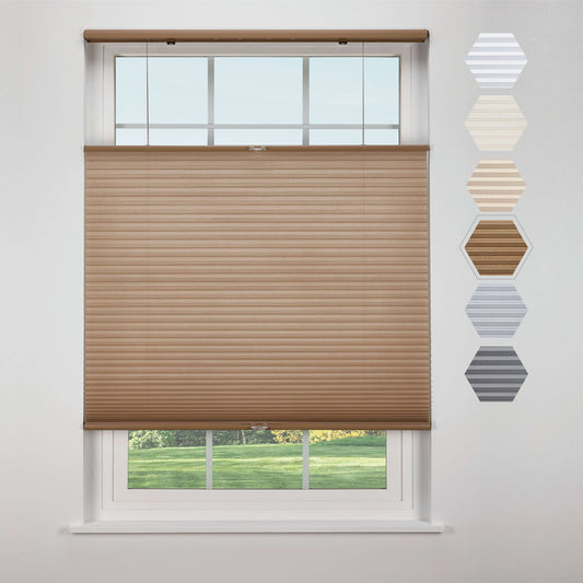 Top Down Bottom Up Light Filtering - Harvest