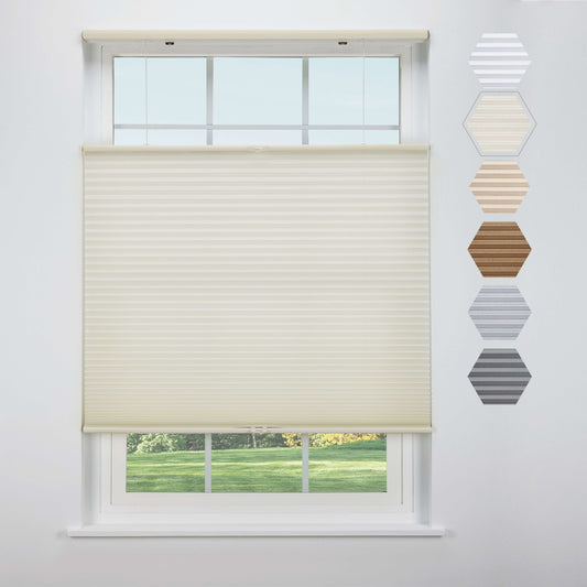 Top Down Bottom Up Light Filtering - Seashell